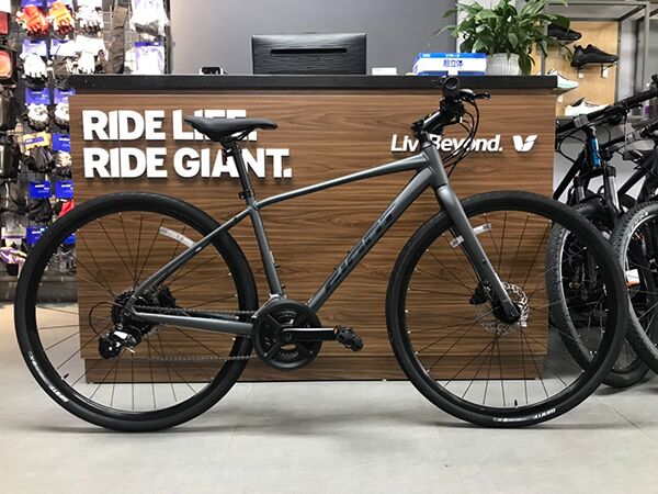 Xe đạp touring Giant ESCAPE 1 D-GC 2024***